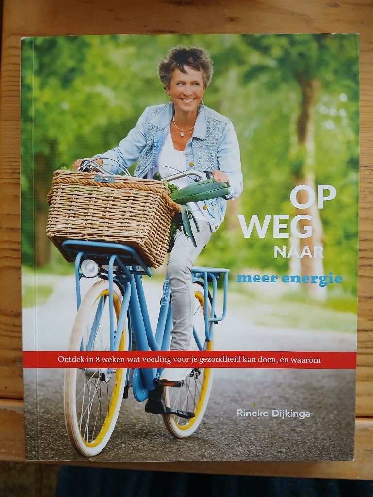 Op weg naar meer energie.Rineke Dijkinga, Ophalen of Verzenden, Zo goed als nieuw, Rineke  Dijkinga