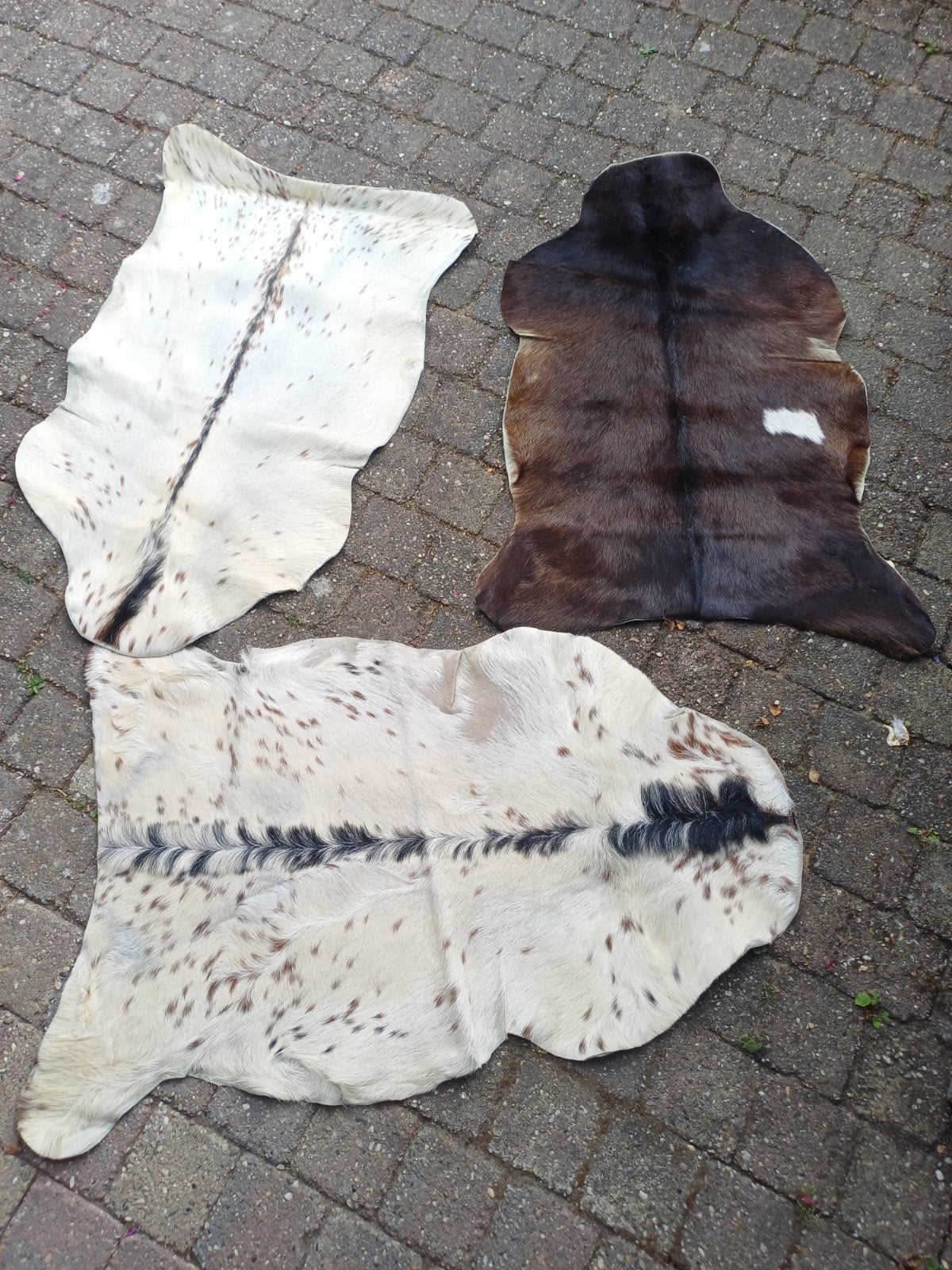 3x Prachtige geiten huiden - geitenvellen IZGST, Gebruikt, 100 tot 150 cm, Verzenden, Rustiek, Natuurlijk, Bohemian