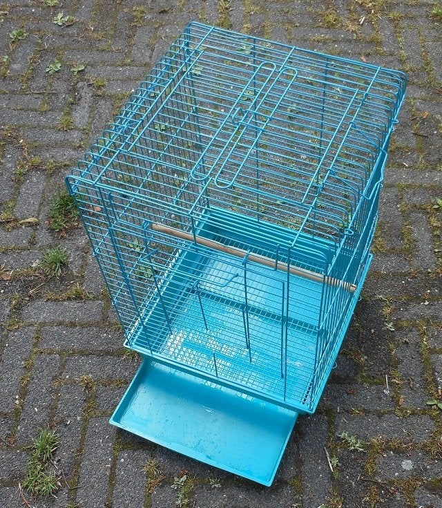 Vogelkooi [zo goed als nieuw] voor b.v. span kanaries, Dieren en Toebehoren, Vogels | Kanaries, Meerdere dieren, Zangkanarie