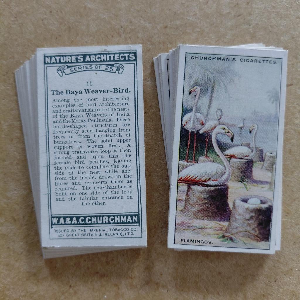 Nature's Architects complete set 25 cigarette cards 1930, Ophalen, Gebruikt