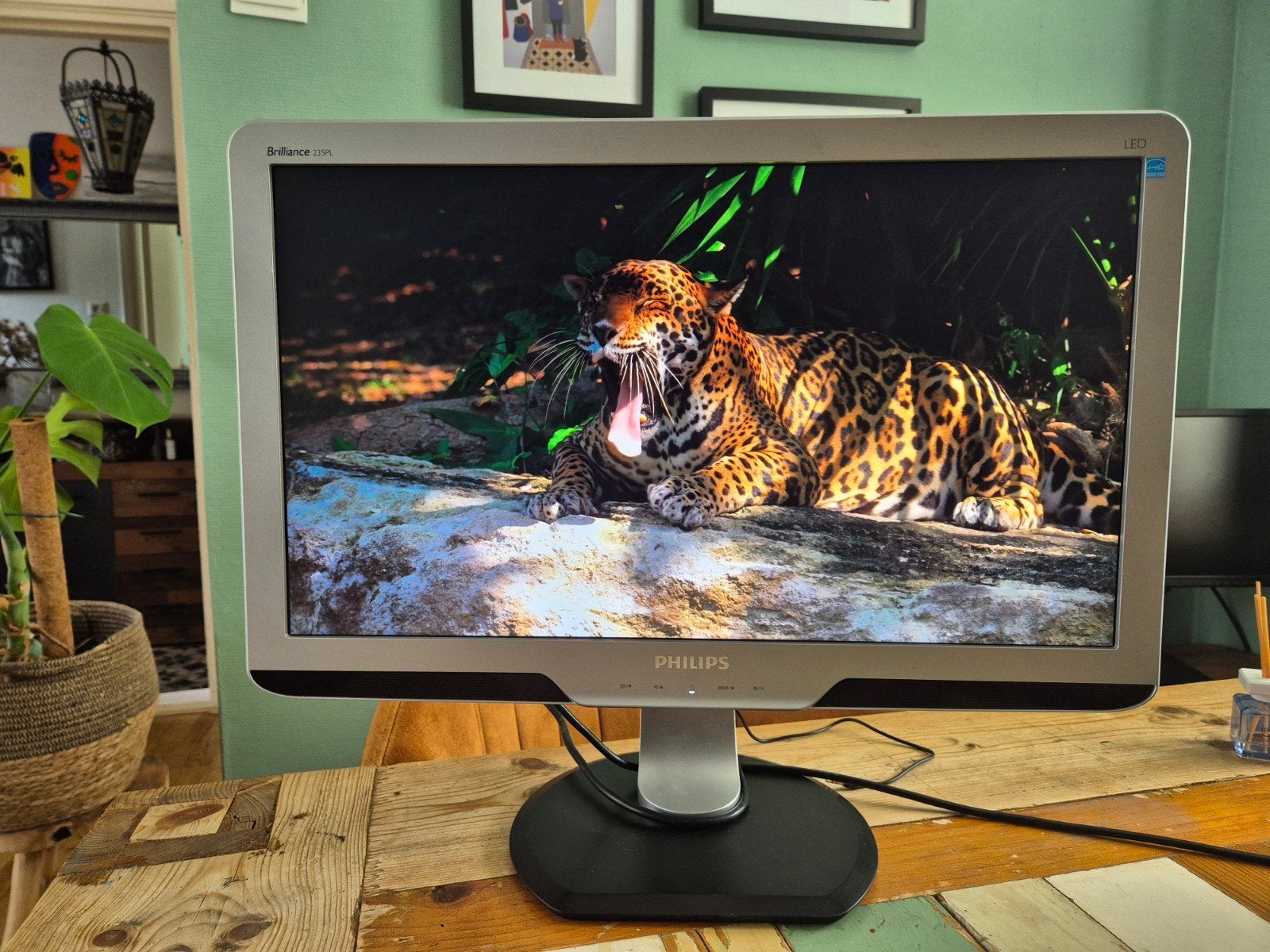 Philips Brilliance 220P LED Monitor - 24 inch, Computers en Software, Monitoren, Philips, Full HD, Ophalen of Verzenden, Zo goed als nieuw
