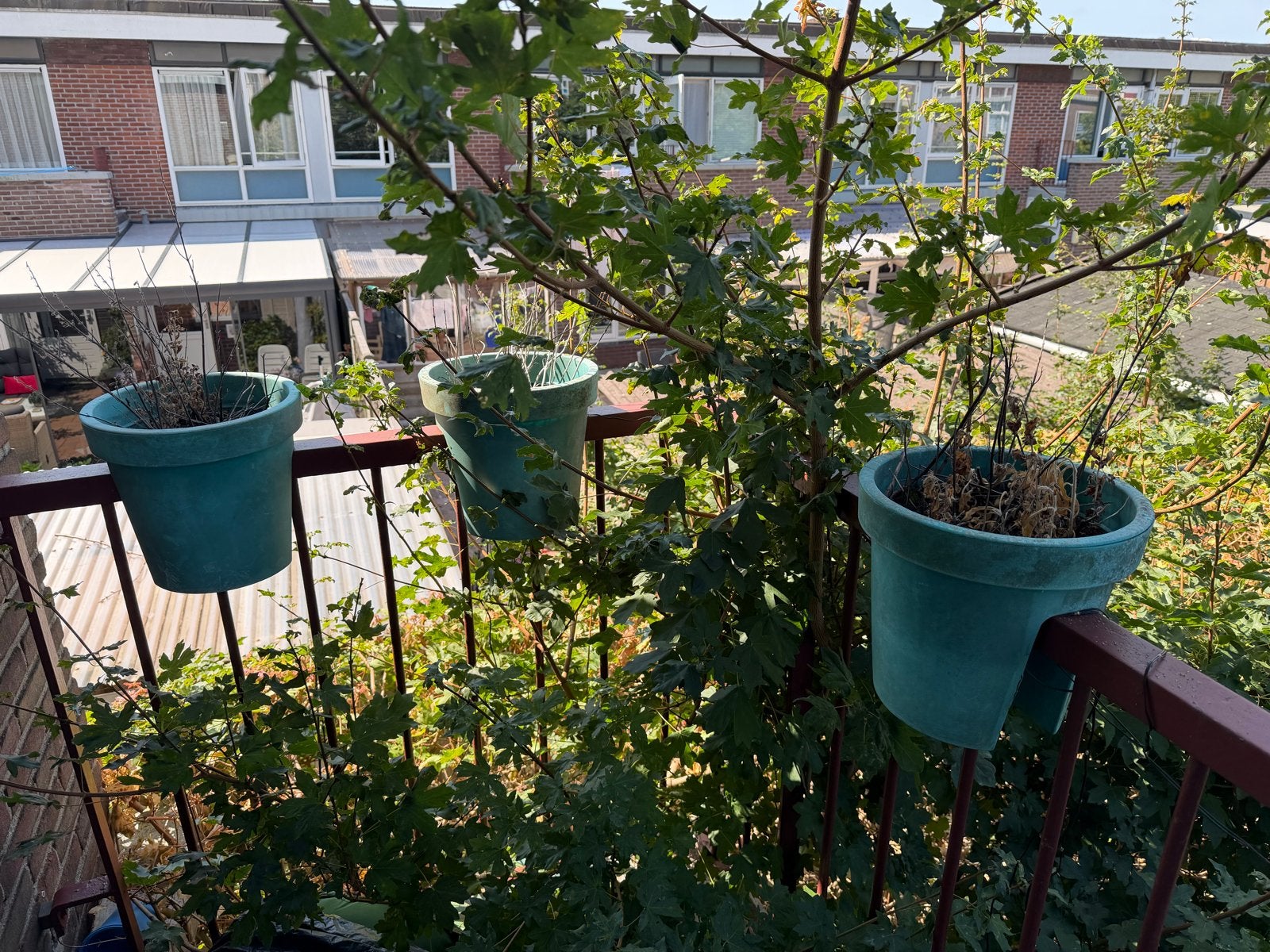 3 plantenbakken, gratis op te halen, Tuin en Terras, Bloembakken en Plantenbakken, Ophalen, Kunststof, Gebruikt, Minder dan 30 cm