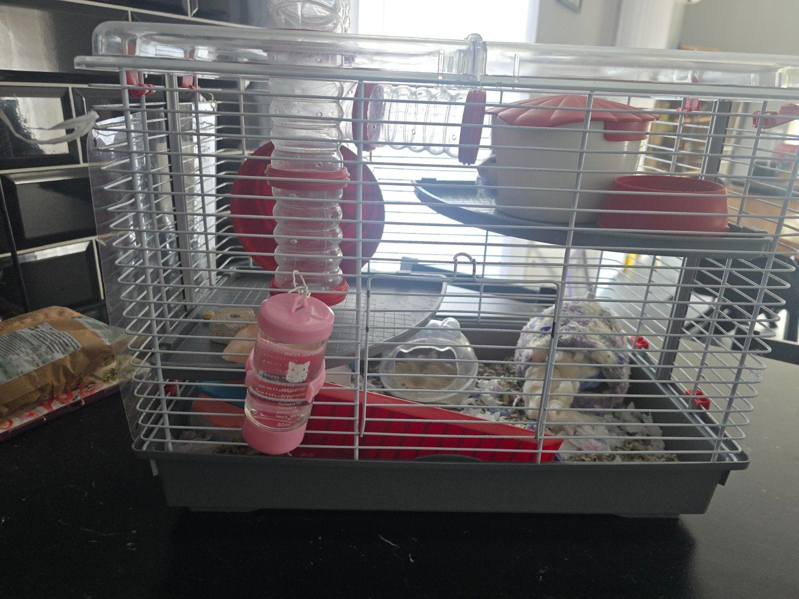 Hamster met 2 kooien, Dieren en Toebehoren, Ophalen of Verzenden