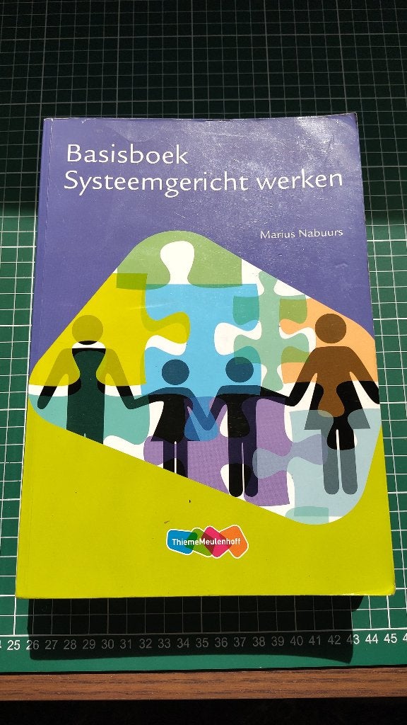 Basisboek Systeemgericht Werken - Marius Nabuurs, Boeken, Studieboeken en Cursussen, Zo goed als nieuw, Gamma, Marius Nabuurs