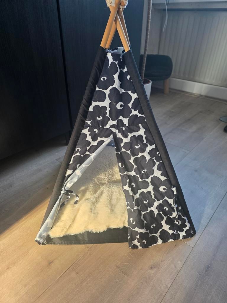 Tipitent kat, Ophalen