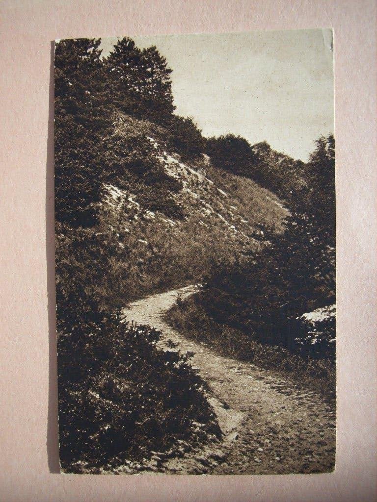 Ansichtkaart Klimweg tussen Bergen en Schoorl, Ophalen of Verzenden, 1940 tot 1960, Ongelopen, Noord-Holland