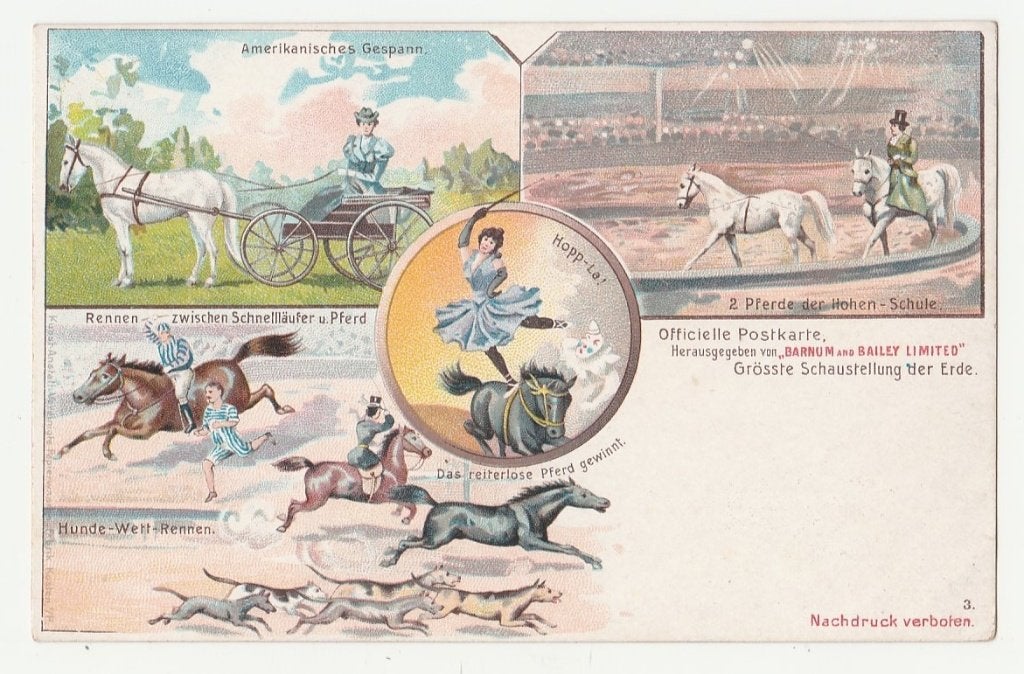 Circus Barnum & Bailey.  Paarden.  Meer dan 126 jaar oud !, Verzamelen, Ansichtkaarten | Themakaarten, Verzenden, Voor 1920, Ongelopen