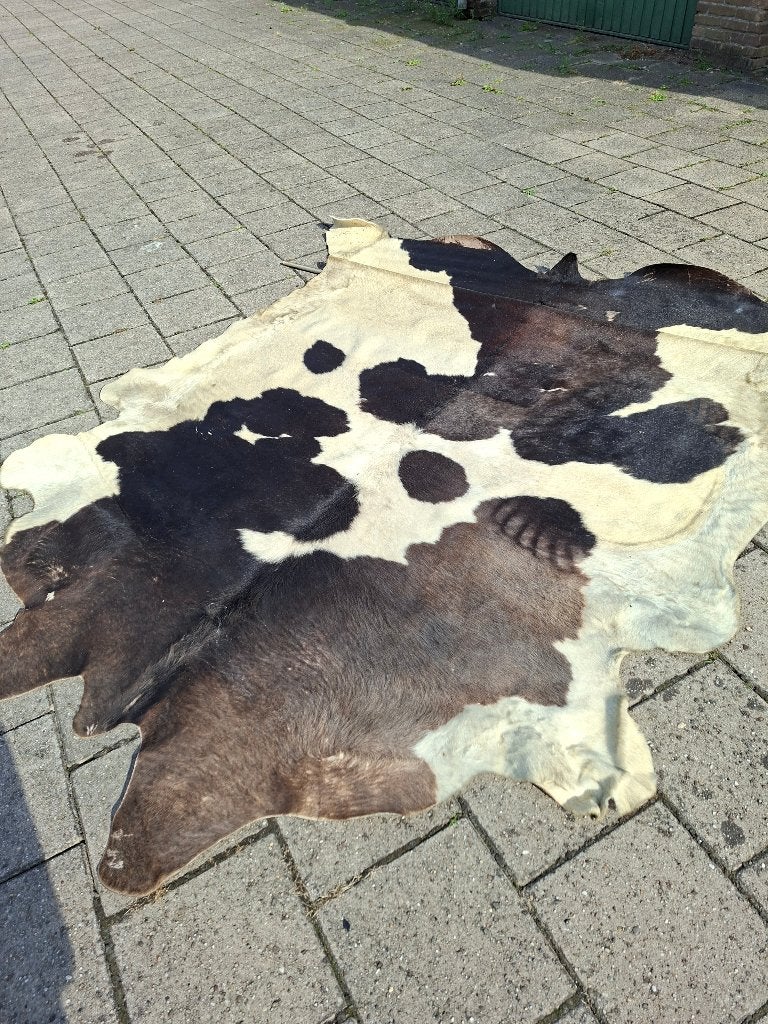 Koeienvel vloer/wandkleed, Ophalen, Gebruikt, 150 tot 200 cm, 200 cm of meer