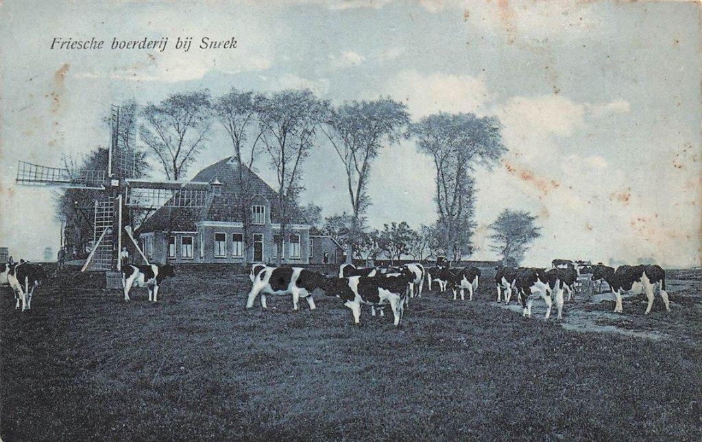 703-380-043 Friesche Boerderij bij Sneek, Verzenden, Voor 1920, Friesland