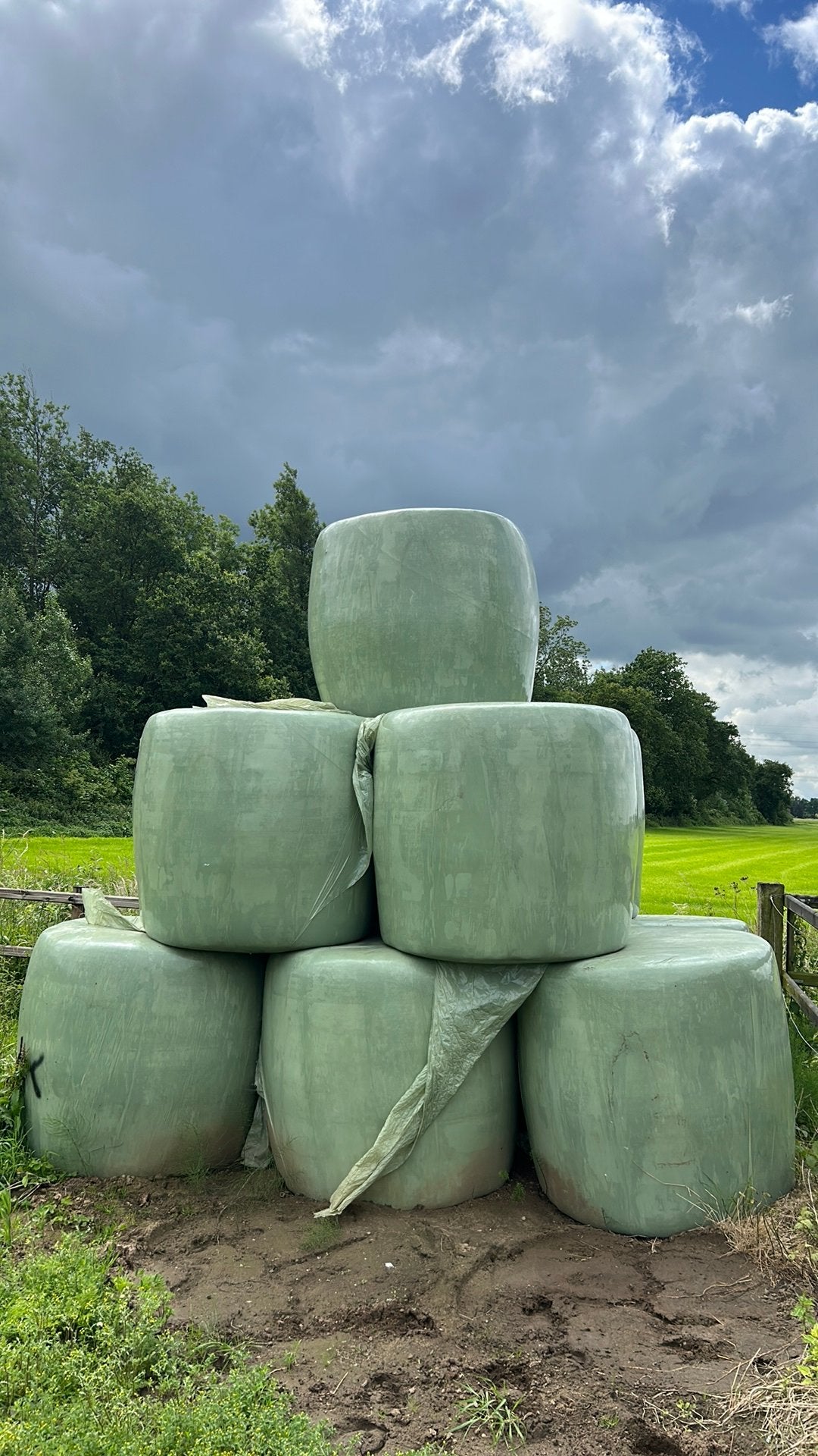 Grote balen natuurhooi (laag suiker/fructaan), Ophalen of Verzenden, Vee