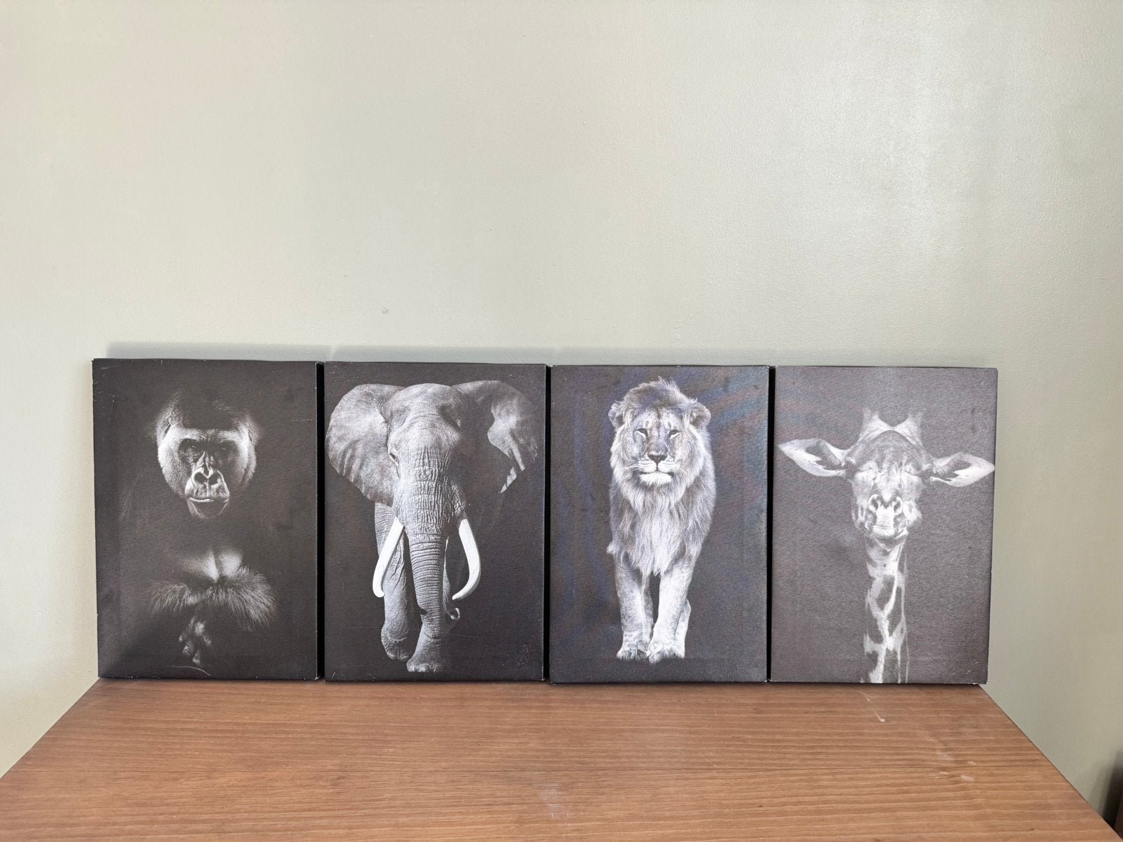 Set van 4 Canvas Schilderijen – Wilde Dieren – 20 x 32 cm, Ophalen of Verzenden, Zo goed als nieuw, Wit