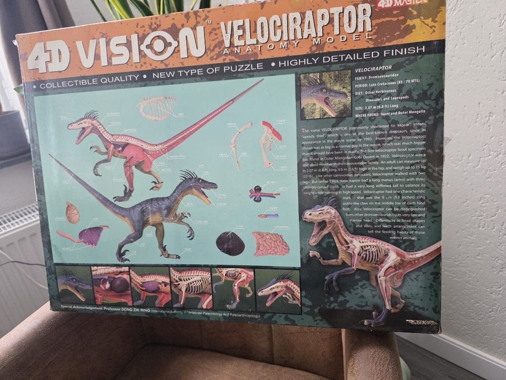 Dinosaurus 4D Vision Velociraptor Anatomy, Ophalen of Verzenden, Nieuw
