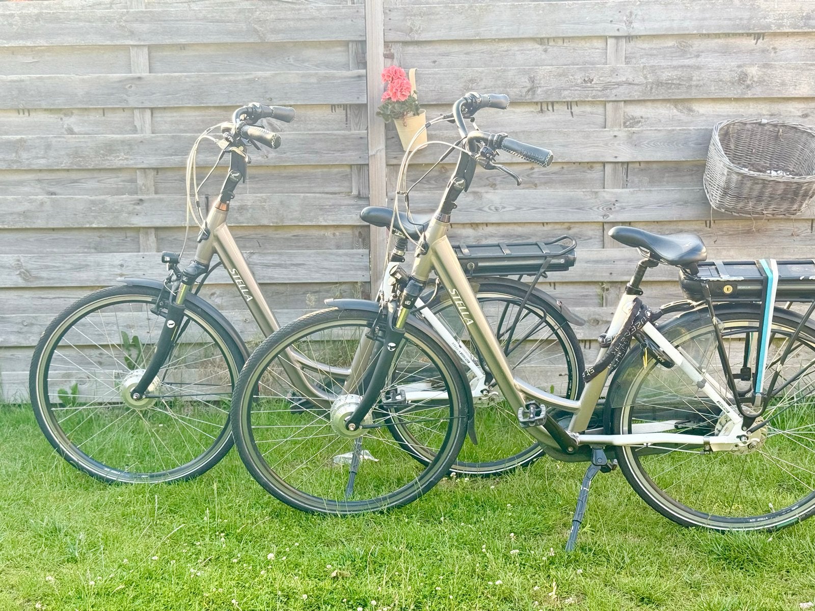 Stella elektrische damesfiets - Zo goed als nieuw, Fietsen en Brommers, Overige merken, S, Ophalen of Verzenden, Zo goed als nieuw