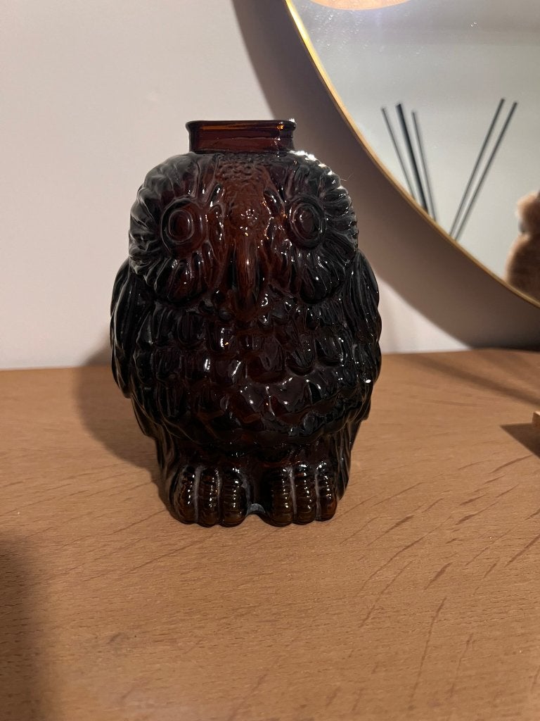 Vintage Wise Old Owl money jar - glazen spaarpot, Ophalen of Verzenden, Zo goed als nieuw, Overige materialen, Dier
