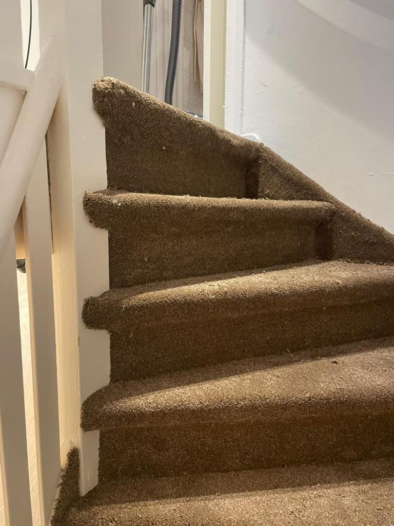 Trap Stoffering Gratis Inmeten Zonder Zichtbare Nieten, Ophalen of Verzenden, Nieuw, 75 m² of meer, Tapijt