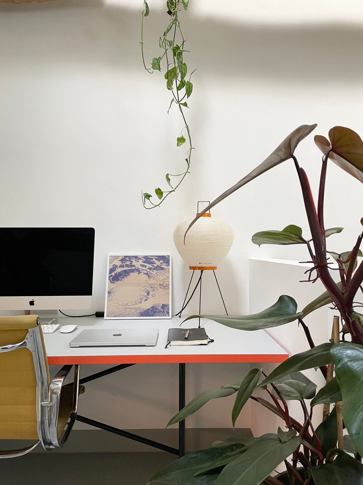 Modulor Berlin Bureau - Linoleum & zwart metalen kruis frame, Overige typen, Hout, Kabelgoot, Zo goed als nieuw
