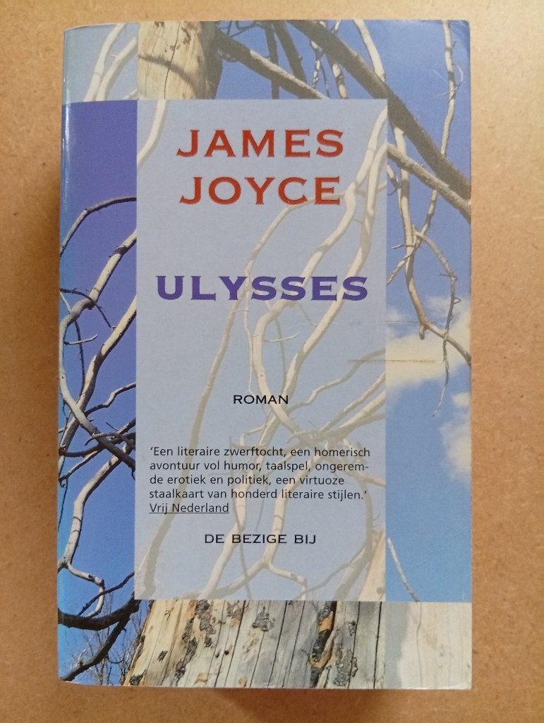James Joyce - Ulysses, Boeken, Literatuur, Gelezen, Europa overig, Ophalen of Verzenden