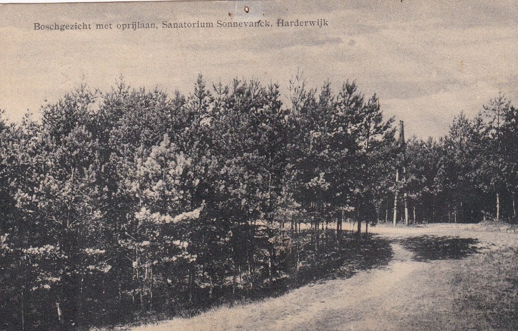 sanatorium harderwijk  sonnevanck 1920, Ophalen of Verzenden, Voor 1920, Noord-Holland