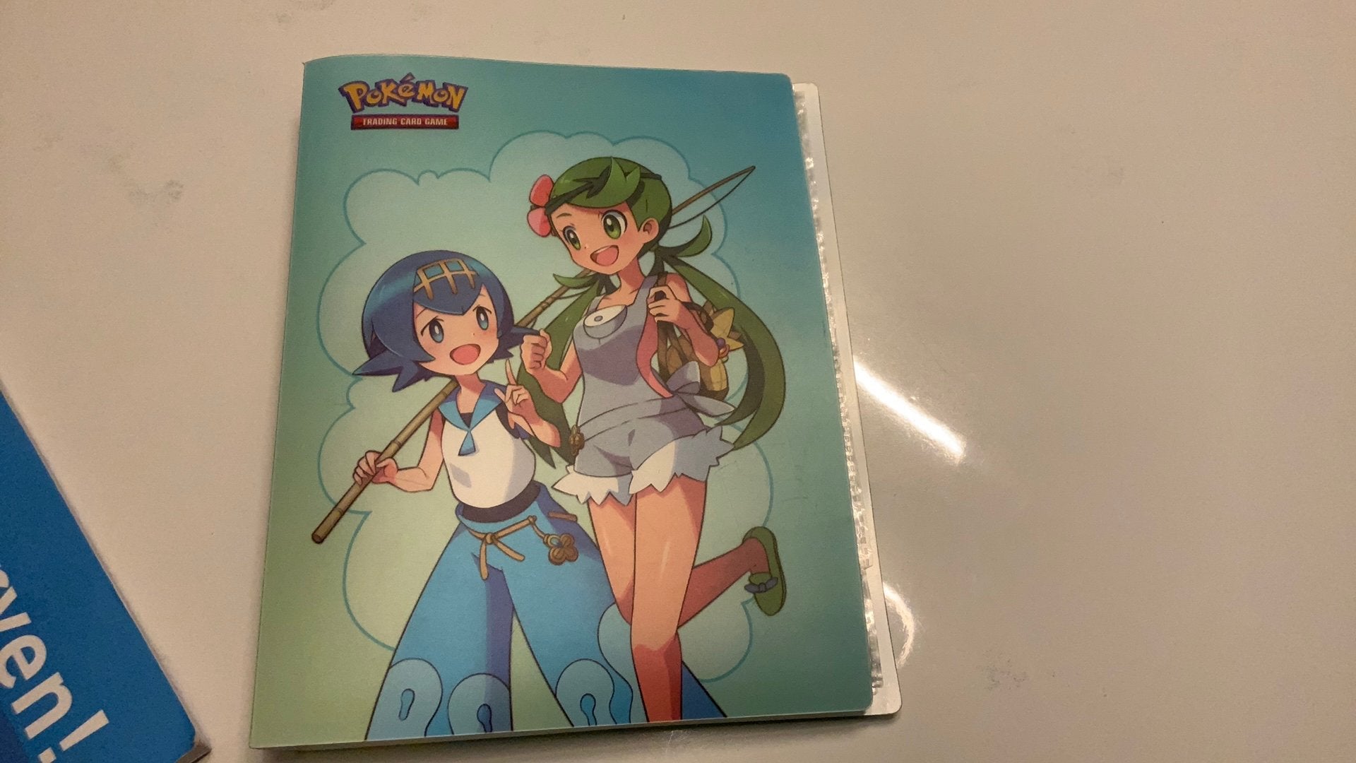 Pokemon boek, Ophalen, Zo goed als nieuw, Boek of Catalogus