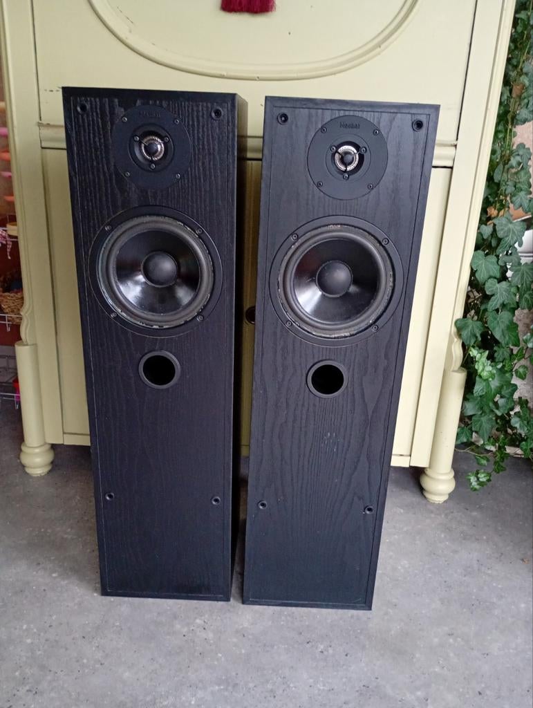 Magnat Monitor 900 speaker set, Ophalen, Gebruikt, Magnat, 60 tot 120 watt