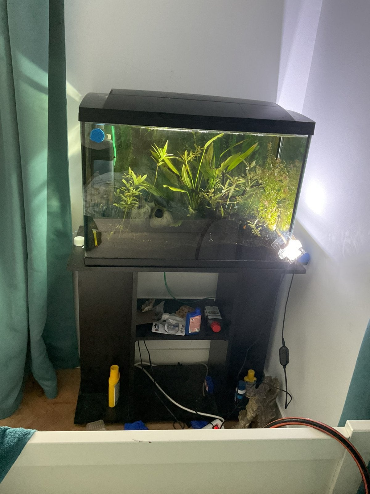 2 aquariums tekoop met heel veel spullen en vissen, Ophalen of Verzenden, Zo goed als nieuw, Gevuld zoetwateraquarium