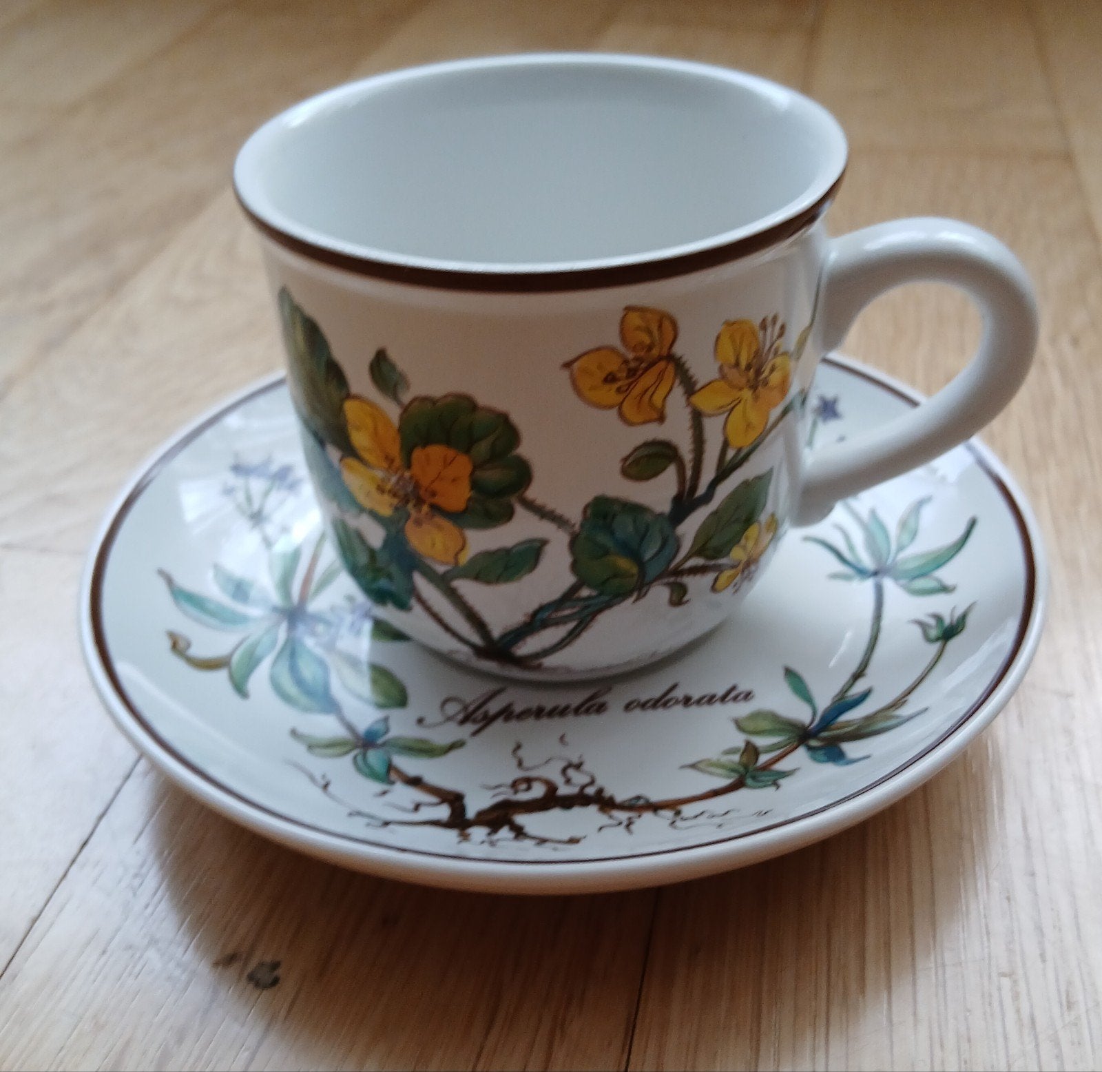 Villeroy & Boch Botanica Kop En Schotel Nieuw, Villeroy & Boch, Nieuw, Ophalen of Verzenden, Overige stijlen