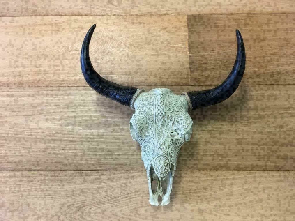 Skulls wit gegraveerd , spanwijdte 40cm ZEER GOEDKOOP, Ophalen of Verzenden, Nieuw
