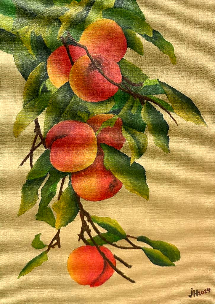 Schilderijen 35 x 25, Ophalen of Verzenden