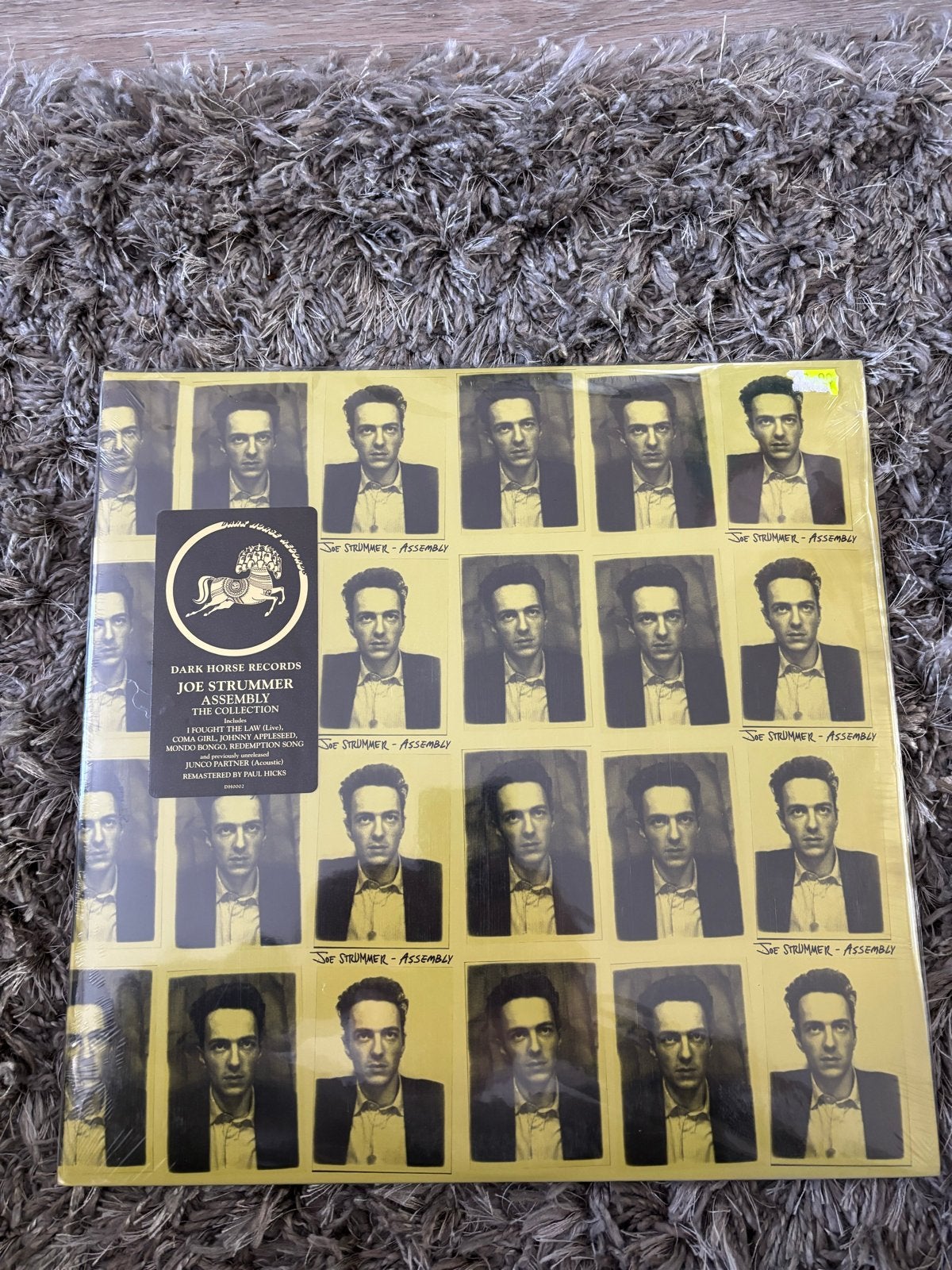 Joe Strummer - Assembly Dubbel LP (The Clash zanger) NIEUW, Rock, Ophalen of Verzenden, 12 inch, Nieuw in verpakking