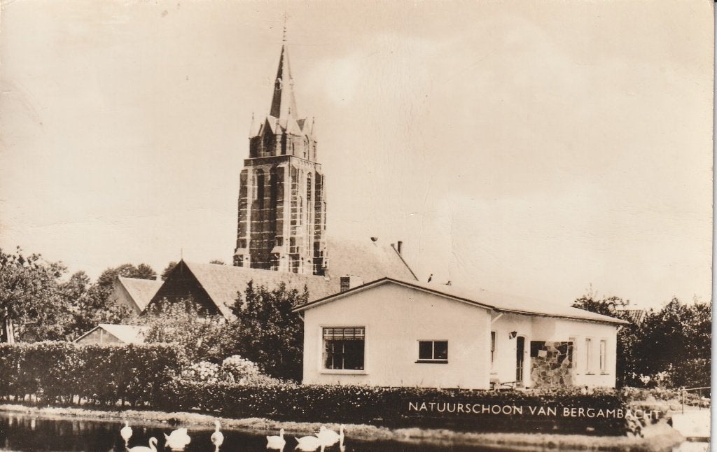 Bergambacht   met Zwanenvijver, Ophalen of Verzenden, 1940 tot 1960, Gelopen, Zuid-Holland