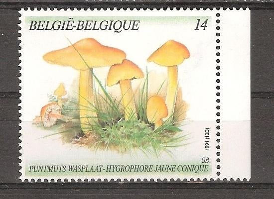 België, Paddestoelen, Puntmuts, 1991., Ophalen of Verzenden, Postfris