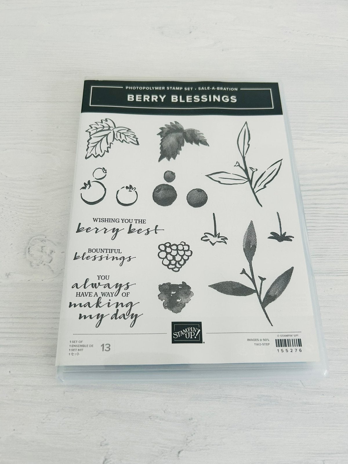 𝙱𝙴𝚁𝚁𝚈 𝙱𝙻𝙴𝚂𝚂𝙸𝙽𝙶𝚂 Stampin’Up! stempelset *NIEUW*, Ophalen of Verzenden, Nieuw, Clearstamp