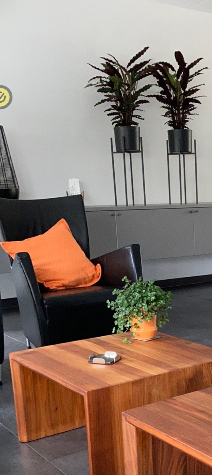 2 stuks Montis model Windy stoelen in zwart luxe leder, Ophalen, Gebruikt, Twee, Zwart