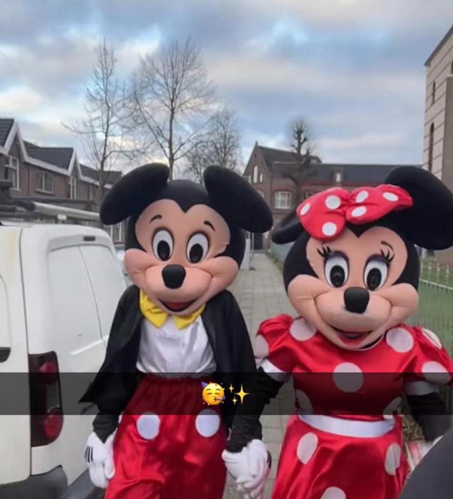 Mickey & Minnie Mouse Mascotte Verhuur, Ophalen of Verzenden