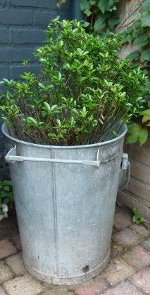 zinken bak met vaste planten, Ophalen, Gebruikt, Minder dan 60 cm, Rond