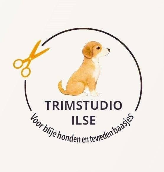 Hondentrimster aan huis. Kleine en middelgrote honden., Trimmen of Verzorging