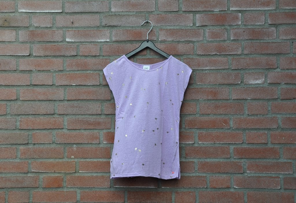 Cks top 152, tshirt 152, kinderkleding 152, Meisje, Ophalen of Verzenden, Shirt of Longsleeve, CKS