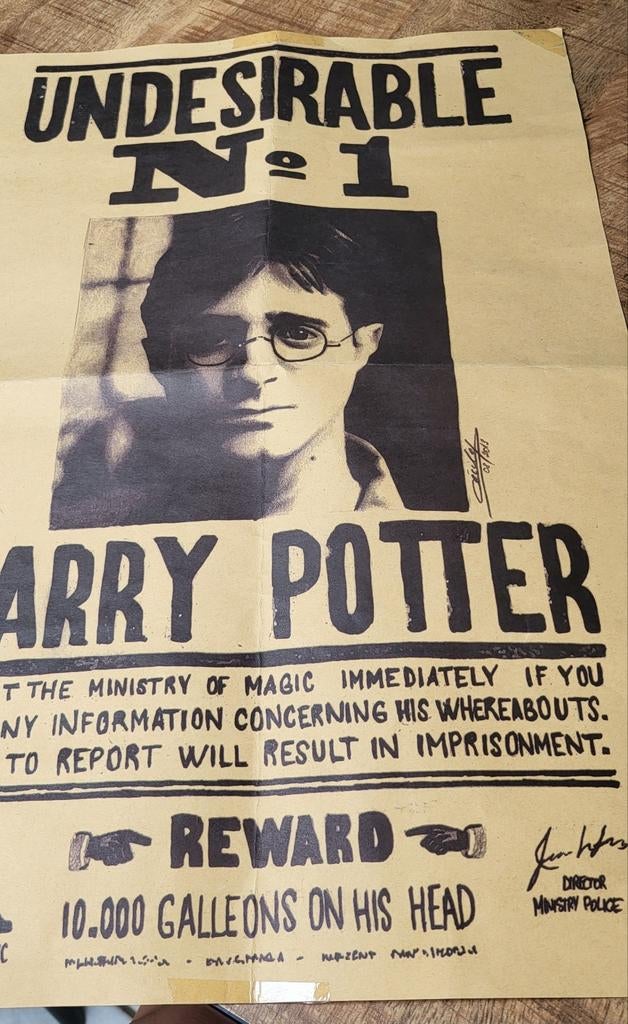 Poster harry potter, Verzamelen, Harry Potter, Ophalen of Verzenden, Boek of Poster