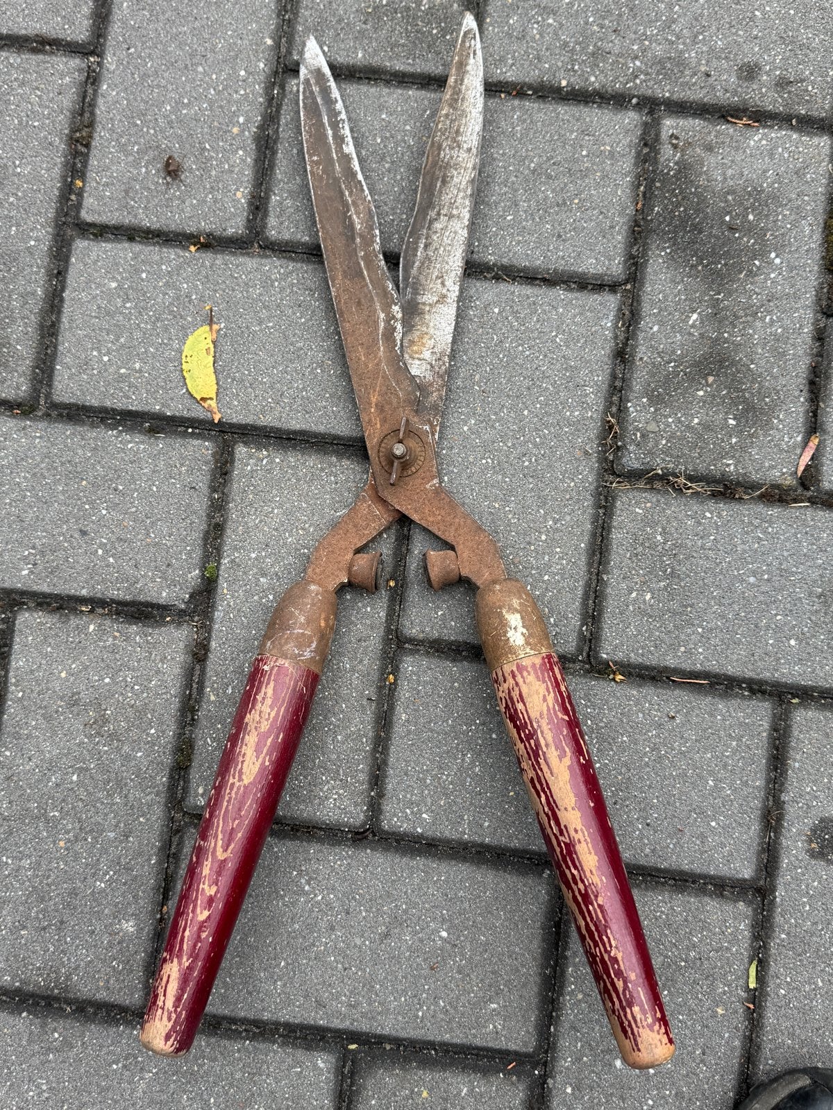 Antieke snoeischaar - Vintage tuingereedschap, Ophalen of Verzenden