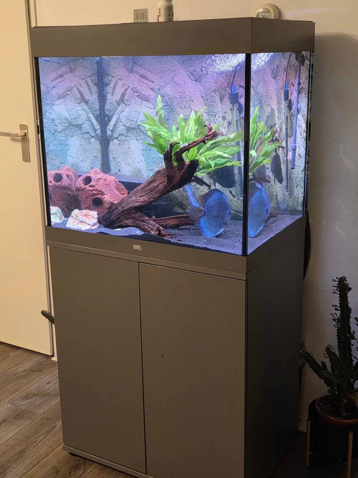 Juwel Lido 200 Grijs, Dieren en Toebehoren, Ophalen, Zo goed als nieuw, Leeg aquarium