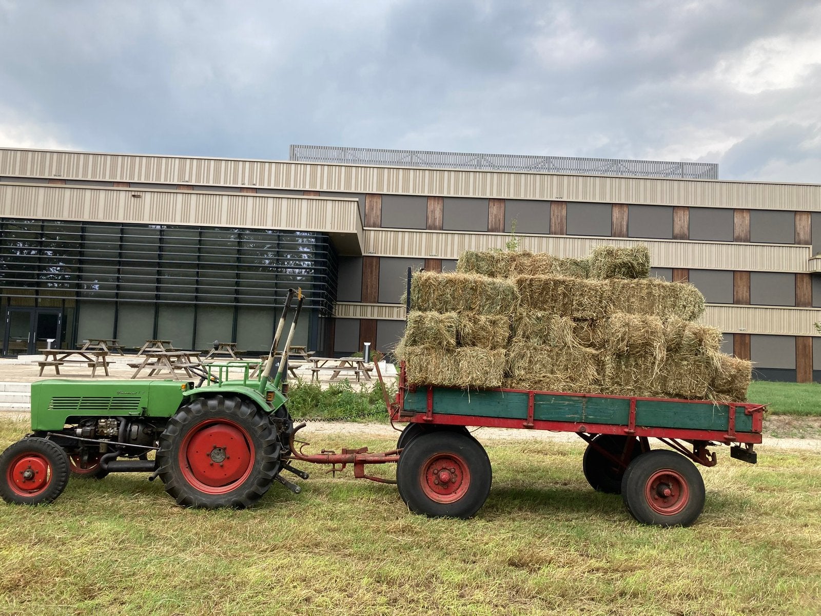 Kruiderijk Hooi onbespoten, Dieren en Toebehoren, Ophalen, Vee