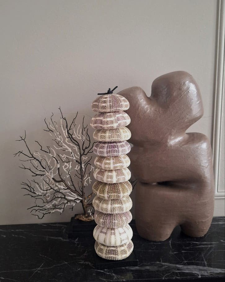 Mooie set woonaccessoires zeegras ornament, Huis en Inrichting, Ophalen of Verzenden, Zo goed als nieuw, X, X