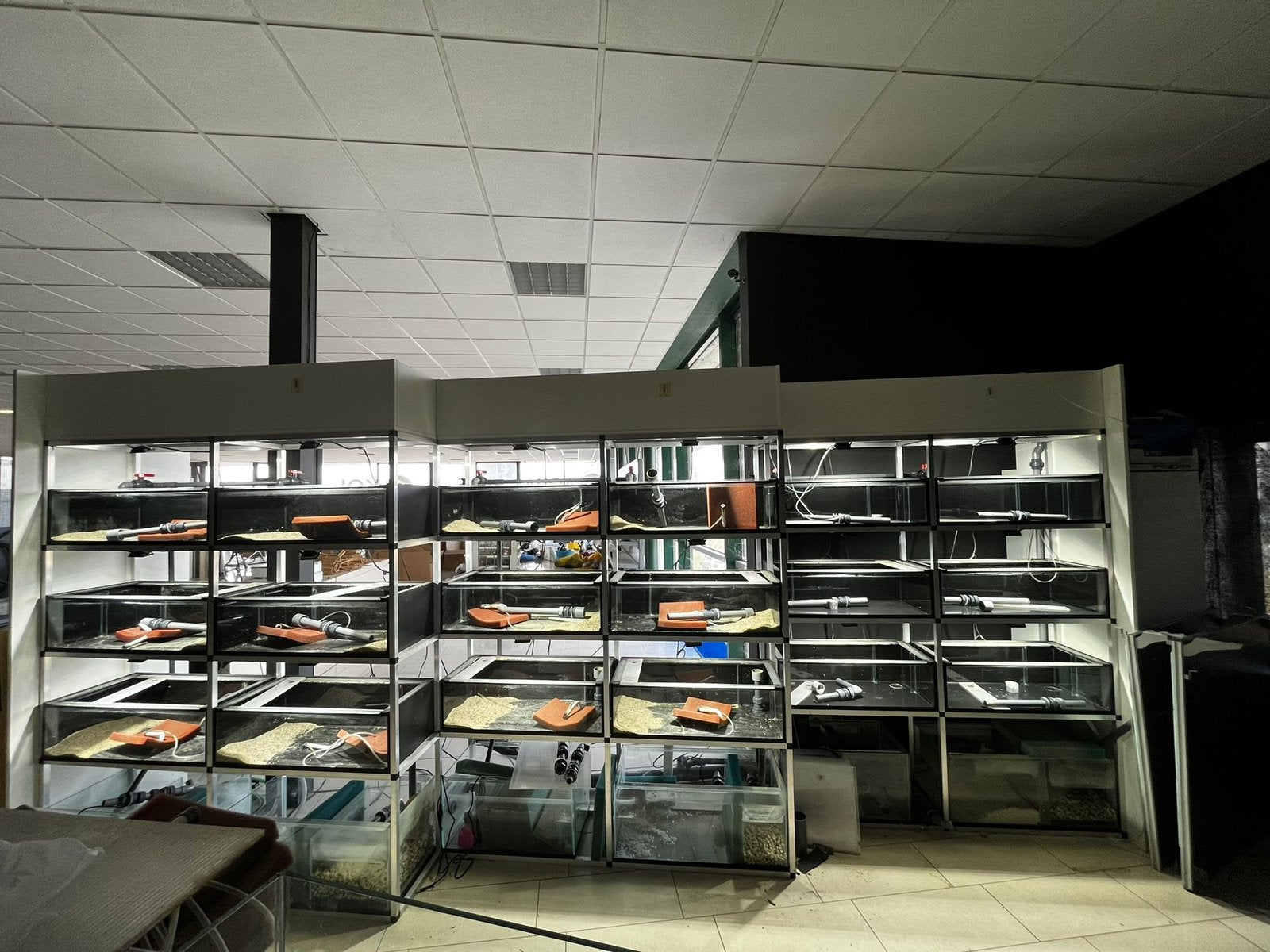 Schuine aquariumstelling helemaal compleet, Ophalen, Overige typen, Overige merken, Zo goed als nieuw