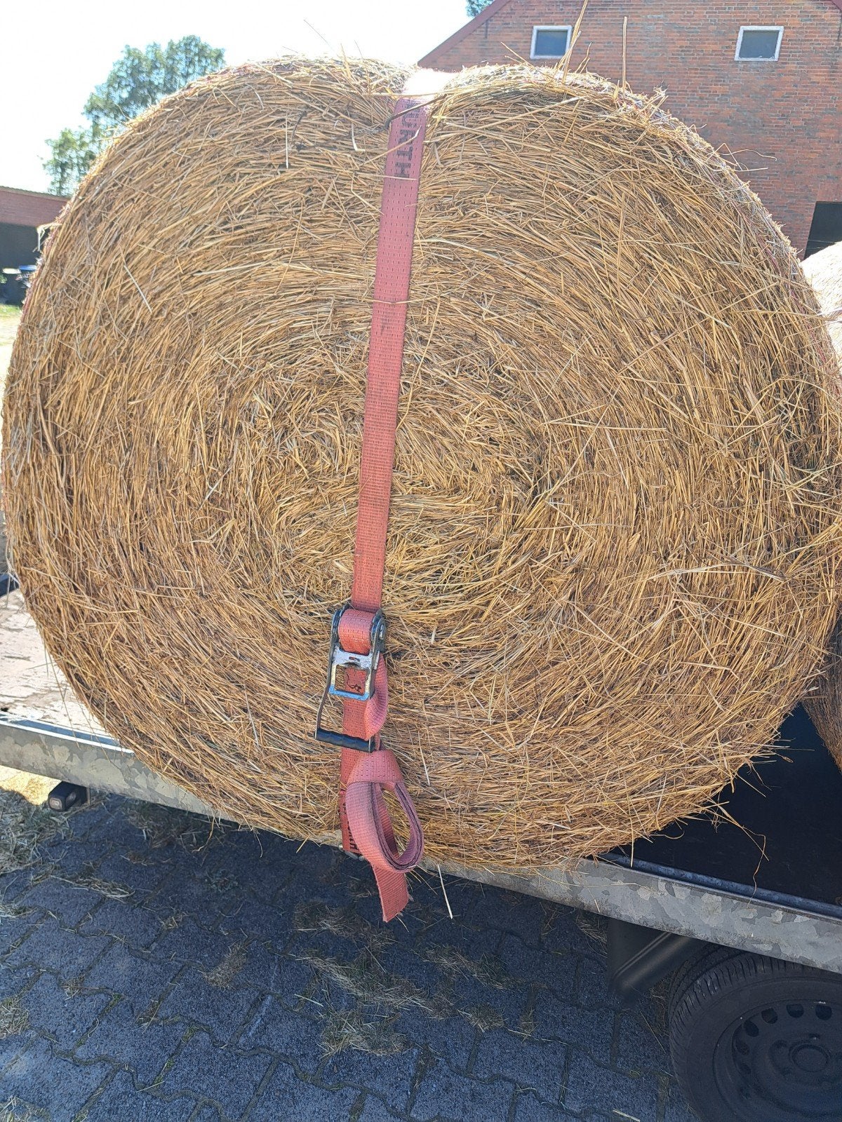 7 balen hooi paarden ronde balen hooi, Dieren en Toebehoren, Ophalen of Verzenden