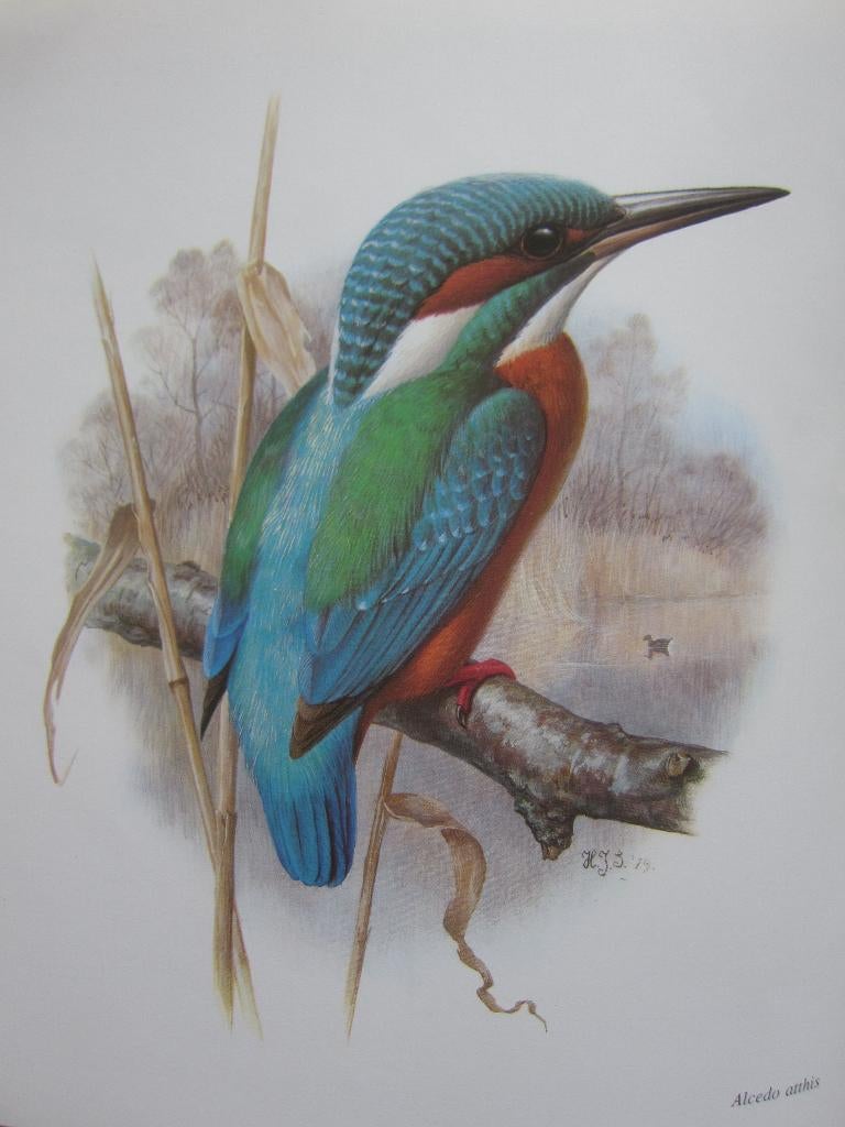 PERMIN OF COPENHAGEN VOGELS VD KALENDER BORDUURPATRONEN, Ophalen of Verzenden, Zo goed als nieuw, Handborduren, Patroon