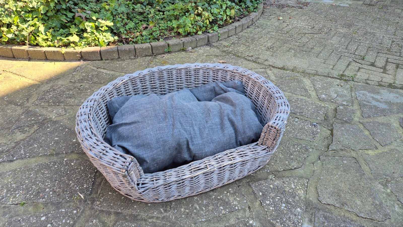 Hondenmand met kussen, Ophalen, Riet