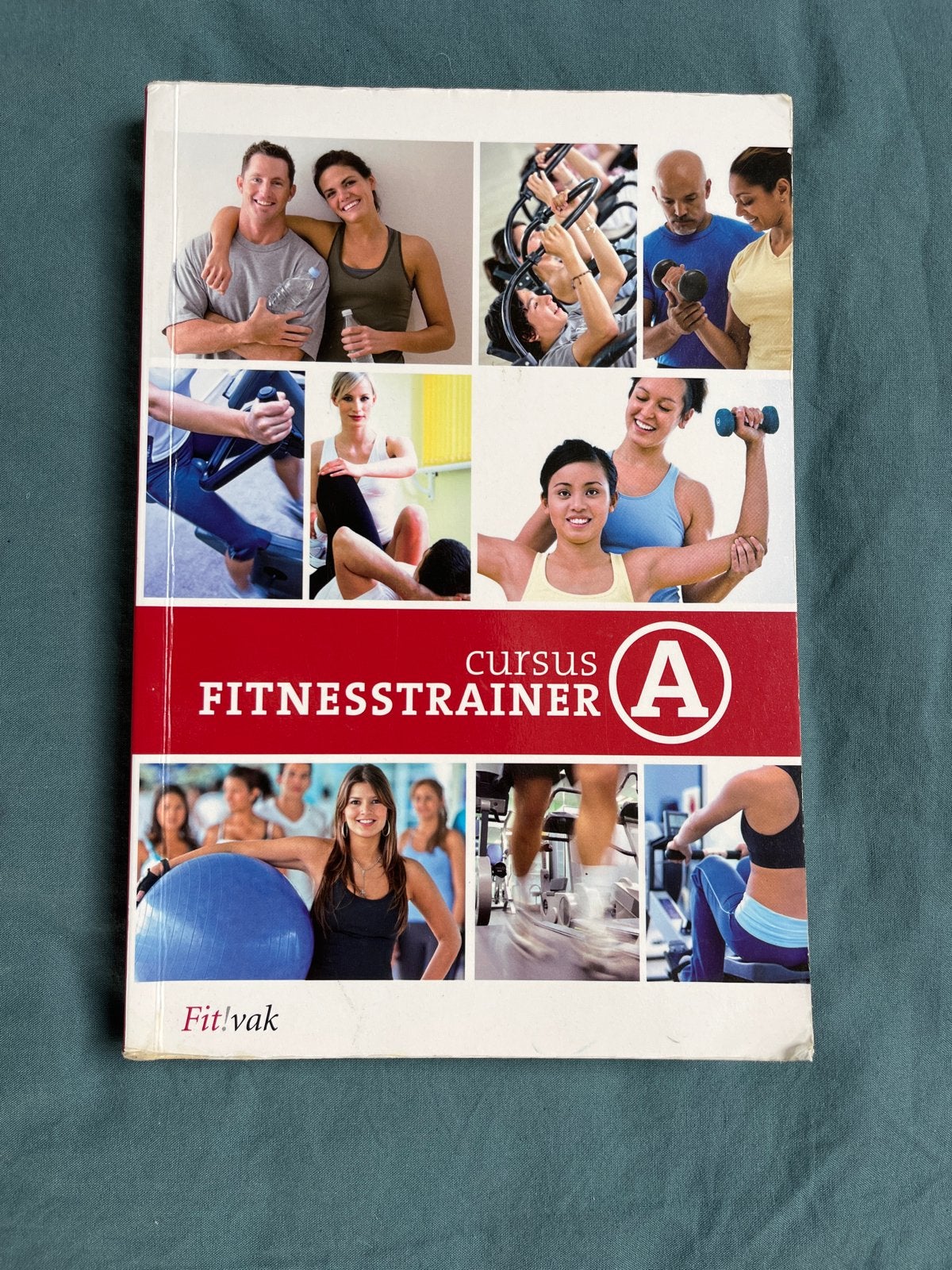 Cursus Fitnesstrainer A - Fit!vak, Boeken, Ophalen of Verzenden, Zo goed als nieuw, MBO