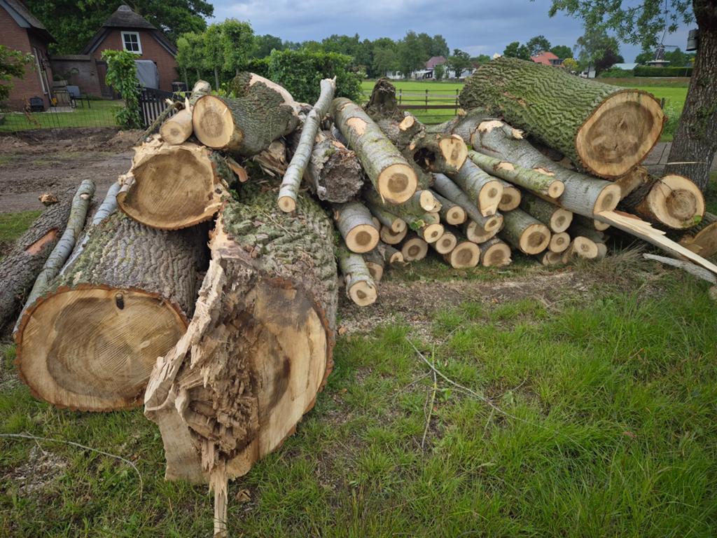 Stammen populier, Tuin en Terras, Haardhout, Minder dan 3 m³, Ophalen