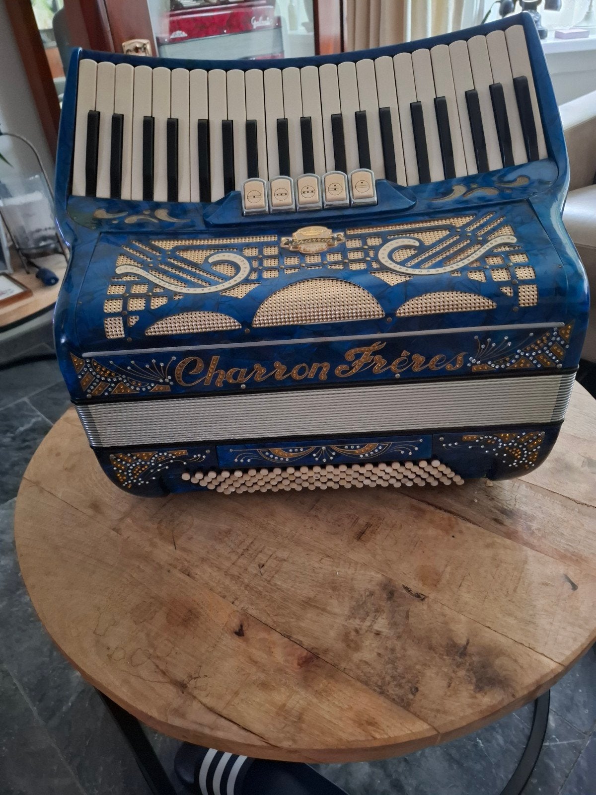 Mooie blauwe Charron Frerres 120 bas accordeon, Muziek en Instrumenten, Accordeons, Ophalen
