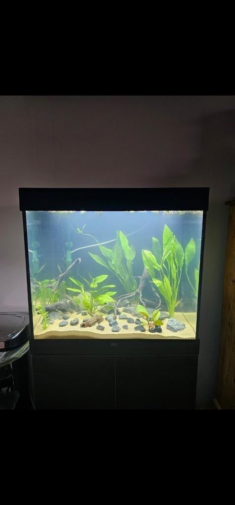 Compleet aquarium Juwel Lido 200 + Eheim
buitenfilter + acce, Ophalen, Zo goed als nieuw, Leeg aquarium
